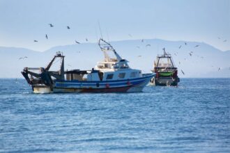 Le renouvellement de l'accord de pêche Maroc-UE sera décidé en 2024 (médias)