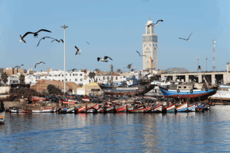 Zakia Driouich : &ldquo;La durabilité de 95% des pêcheries à valeur commerciale est assurée&rdquo;