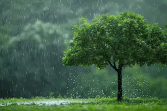 Des averses orageuses et des rafales de vent prévues les 29 et 30 avril dans plusieurs provinces