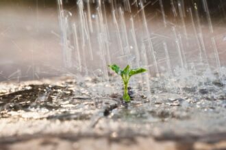 Pluie et neige toujours au menu ce samedi