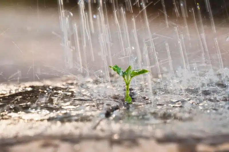 Pluie et neige toujours au menu ce samedi
