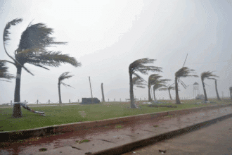 Alerte météo. Fortes rafales de vent avec chasse-poussières dans plusieurs villes