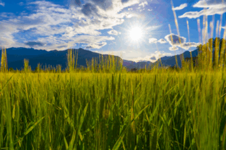 Les prévisions météorologiques pour ce lundi 2 décembre 2024