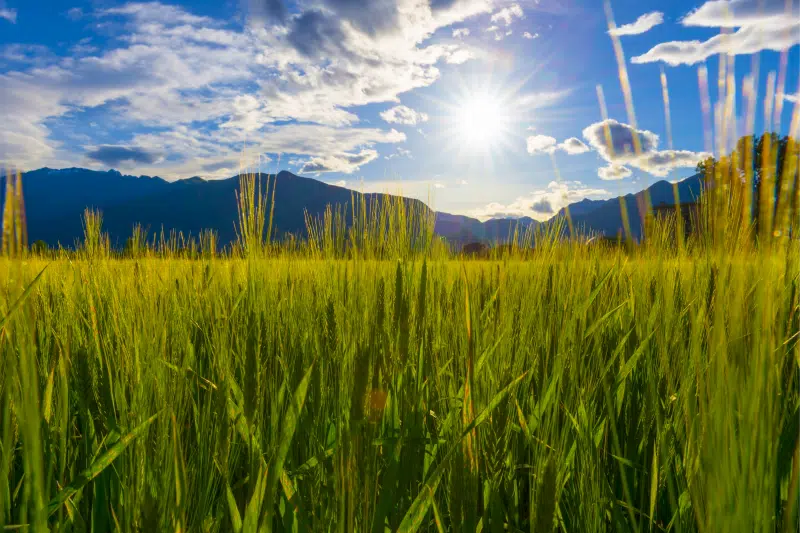 Températures en hausse durant les 10 prochains jours
