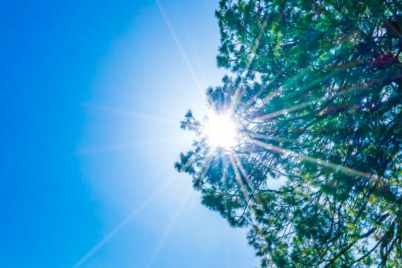 Températures en hausse ce jeudi 2 mai