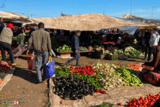 Marché de gros de Casablanca : tendance générale à la stabilité des prix