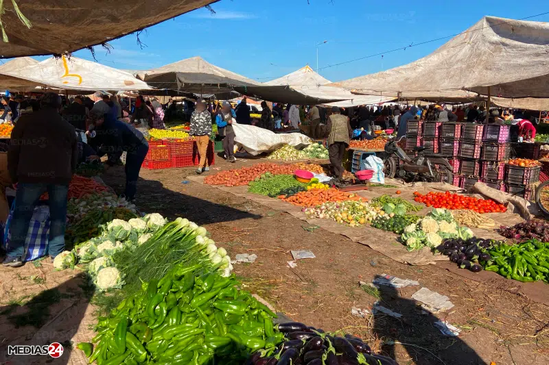 Stabilité des prix des fruits et légumes et légère baisse des prix des tomates dans les marchés de gros de Casablanca