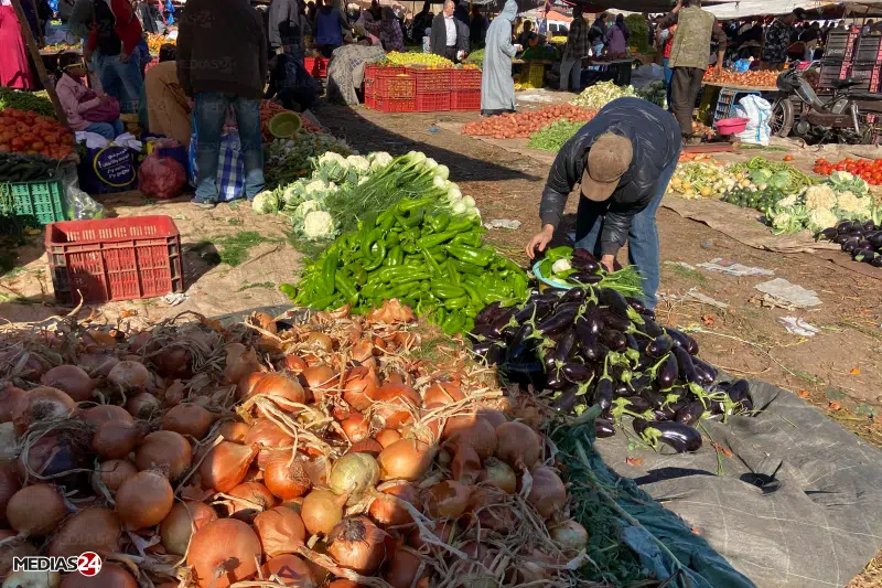 Prix de gros à Casablanca : nouvelle hausse des prix des viandes et de l’oignon sec