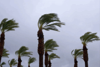 Alerte météo. Fortes rafales de vent ce jeudi 14 novembre sur l'Oriental