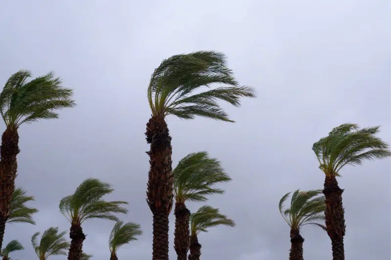 Prévisions météorologiques pour le dimanche 29 septembre 2024