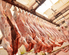 Les prix de gros à Casablanca : une baisse significative de la viande ovine