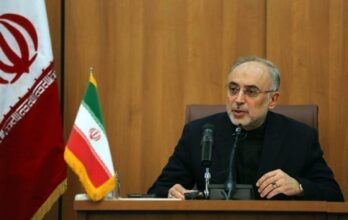 Iran: L'AIEA confirme le gel d'activités nucléaires