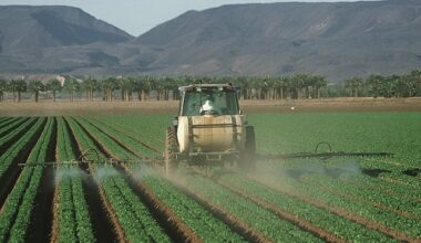 Le pesticide DDT favorise le développement de la maladie d’Alzheimer