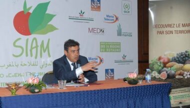 Meknès, 10 jours aux couleurs du Siam