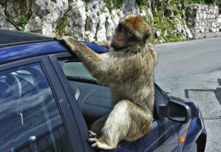 24 heures d'actualité en images