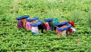 Les tristes chiffres de l’emploi féminin au Maroc