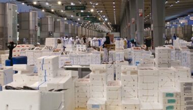 Le groupe Agrodep risque le redressement judiciaire