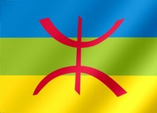 Recensement : Une association demande au HCP d’ajouter l’amazigh