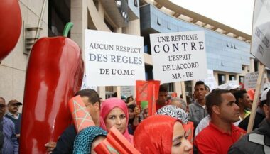 Maroc-UE: La décision européenne est définitive, sit-in des producteurs marocains
