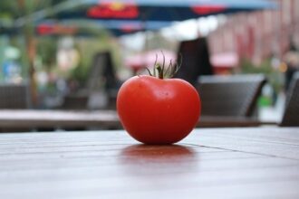 Trois jours pour sauver la tomate marocaine