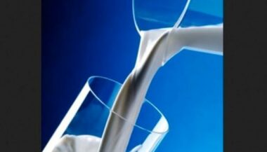 Le Bon Lait reprendra sa production avant ramadan