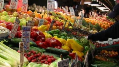 Les producteurs marocains de fruits et légumes vont saisir la Cour de justice de l’UE
