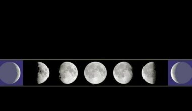 Calendrier lunaire: le guide du musulman perplexe