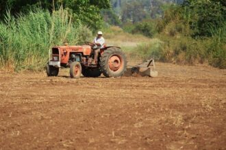 Les petits agriculteurs pourront louer des terres domaniales