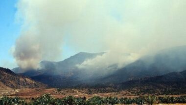 Tunisie: 14 soldats tués dans une attaque &ldquo;terroriste&rdquo;