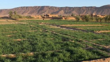La direction du Trésor prévoit une croissance de 4% en 2014