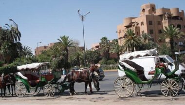 Les calèches de Marrakech dotées de puces électroniques