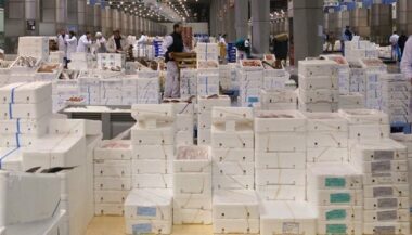 Agrodep, un compromis entre Puech et Derham