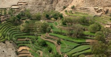 La Côte d'Ivoire s’intéresse au Plan Maroc Vert