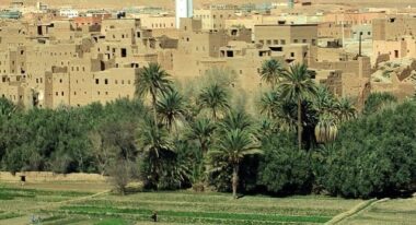 Agriculture : une solution pour rendre l’eau plus efficace