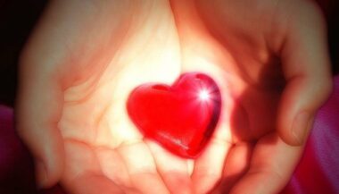 Les professionnels de santé sensibilisés au don d’organes