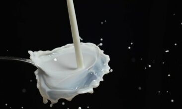 Trois verres de lait par jour, un danger pour la santé!