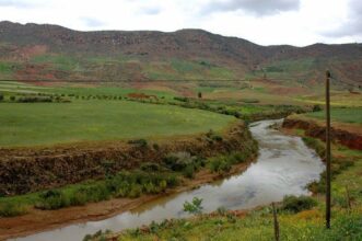Chaouia-Oauardigha : 750.000 ha programmés pour la culture des céréales