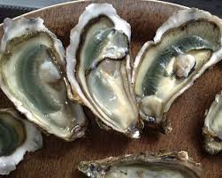 Attention aux huitres de Oualidia !