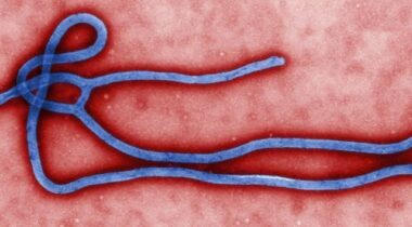 Bilan Ebola: plus de 7.700 morts