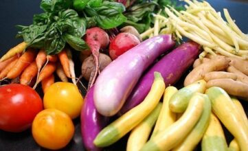 Inondations. Perturbations passagères dans l’agriculture