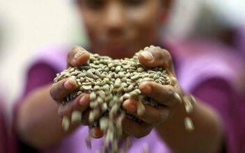 Lancement de l'appel à projets &ldquo;Méditerranée, d’une rive à l’autre&rdquo;