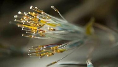 Safran fête ses dix ans au Maroc