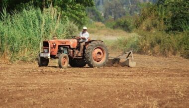 Agriculture. Des réussites et des recommandations pour l’économie rurale