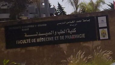 Les études de pharmacie ouvertes aux bacheliers