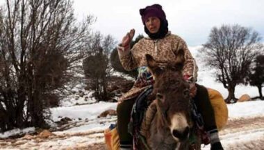 Pourquoi il faut lire &ldquo;Dos de femme, dos de mulet&rdquo;