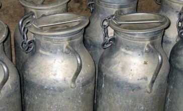 Filière lait: le Maroc produira 4 milliards de litres d’ici 2020