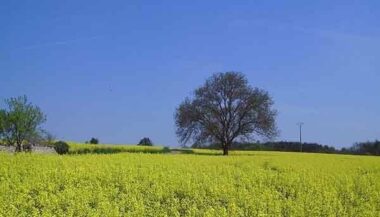 Les prévisions météo pour les 9 prochains jours