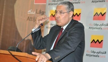 Maroc-Sénégal: les 10 PDG marocains à la tête des commissions du GIE