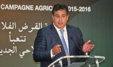 Crédit agricole: 5 MMDH pour financer la récolte