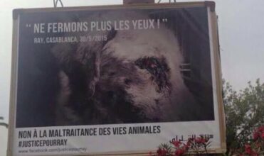 Une première: campagne d’affichage destinée à la cause animale